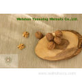 AAA grade Chinese Walnut Kernels Light Pieces